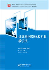 計算機網(wǎng)絡技術專業(yè)教學法 計算機技術開發(fā)的雙色路徑